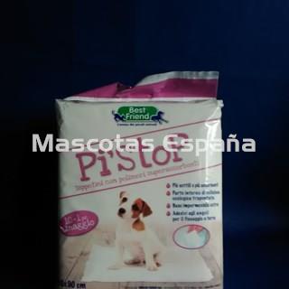 RECORD Empapadores 60x90 (10+1 Gratis) - Imagen 1