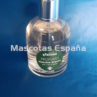 RECORD Perfume Musgo Blanco 100ml - Imagen 1